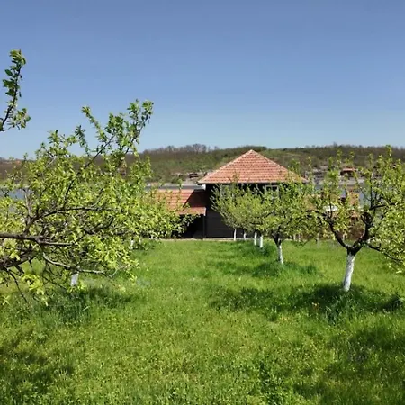 Prázdninový dům Milosev Kuca Na Jezeru *