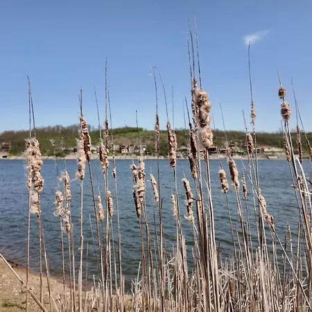 Prázdninový dům Milosev Kuca Na Jezeru *