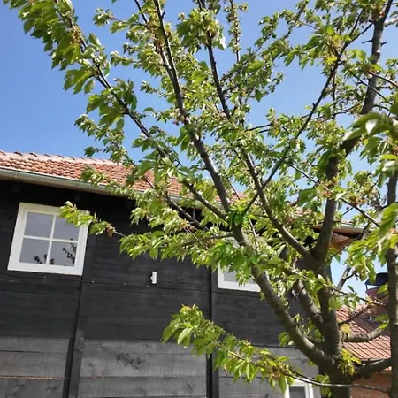 Milosev Kuca Na Jezeru